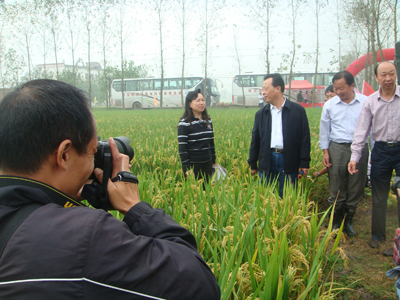 南方水稻生产技术现场观摩会在上高县召开,江西省农业厅副厅长马岩波