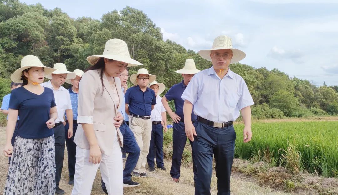 国家水利部工作组到我县调研指导抗旱工作 0